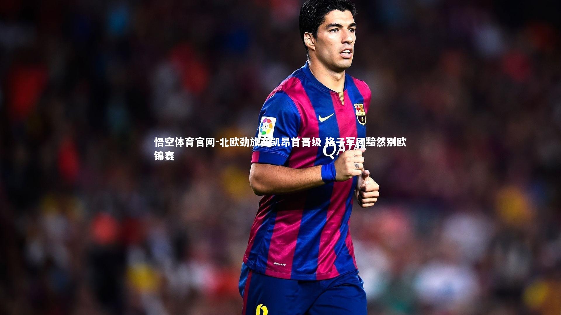 北欧劲旅奏凯昂首晋级 格子军团黯然别欧锦赛